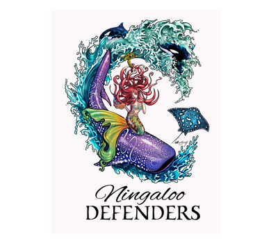 Outdoor Ningaloo Defenders Stickers - White / Black Turq - 150mm H x 120mm W