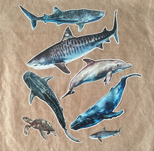 Stickers Eco - Maddison Mueller- Ocean Art - Ningaloo Defenders